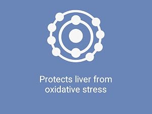 proteins, silica, botanical, asia, sugars, plasma, extracts, mitochondria, glycogen,