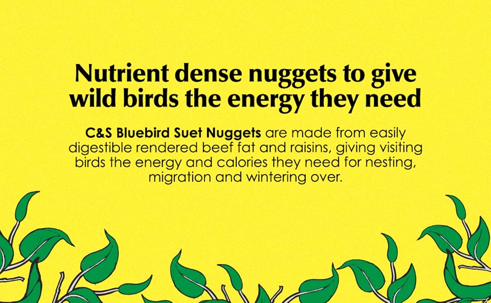 Nutrient dense nuggets to give wild birds the energy they need