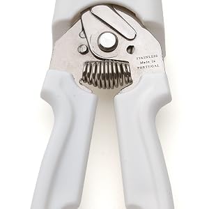 kitchen scissors, scissors