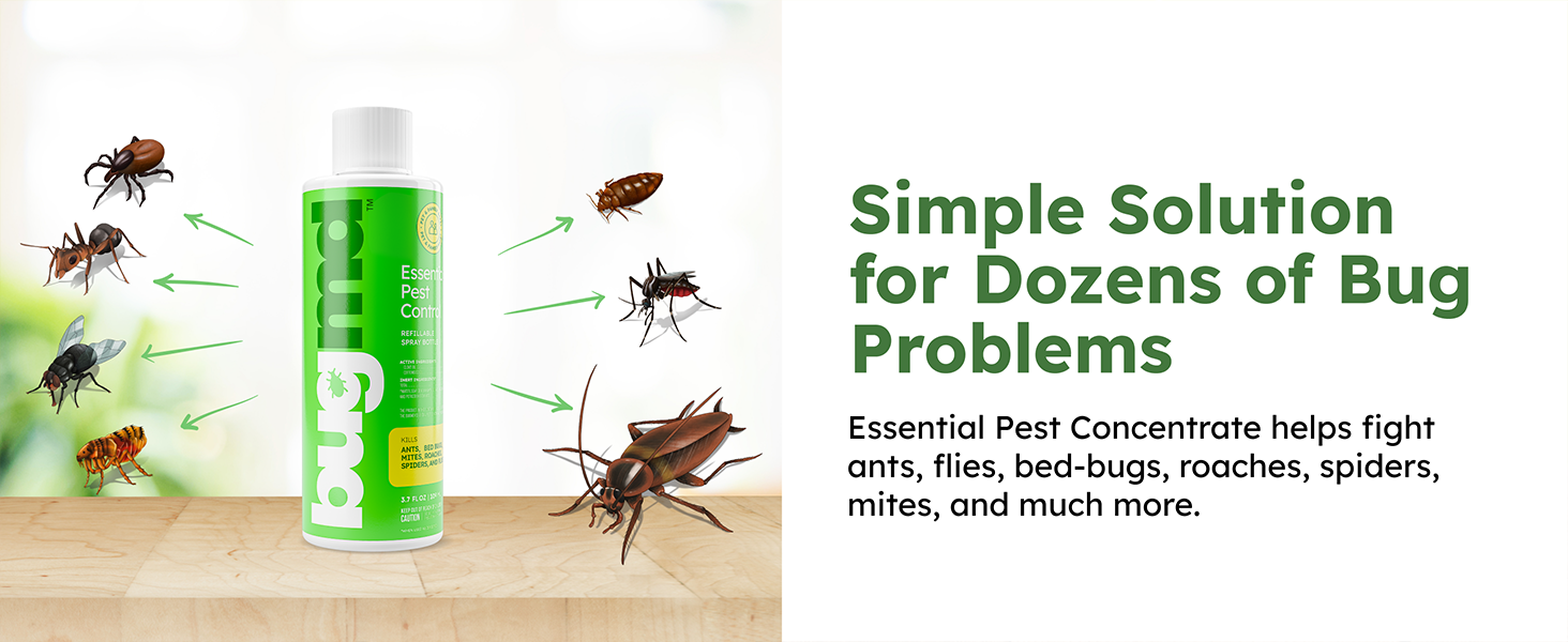 powder japanese beetle yard rodent wasp outdoors mint best house tick hornet