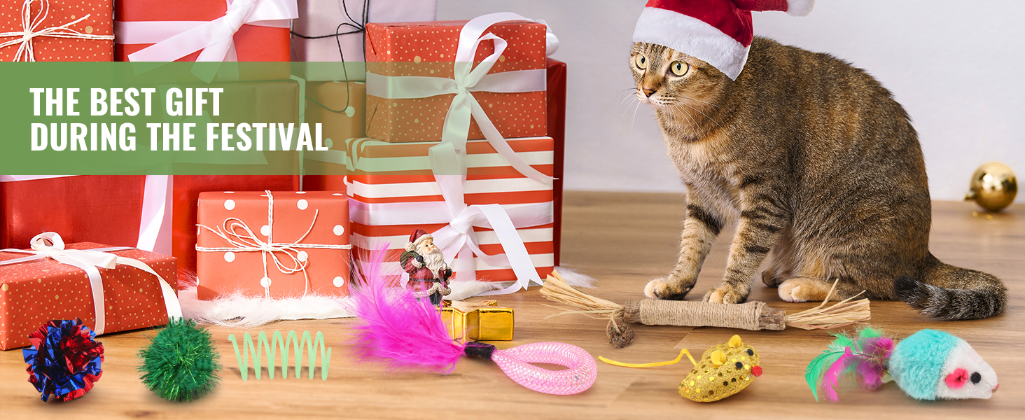 cat toys