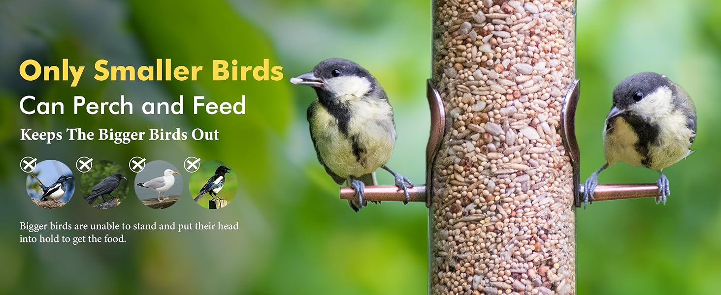 BIRD FEEDER