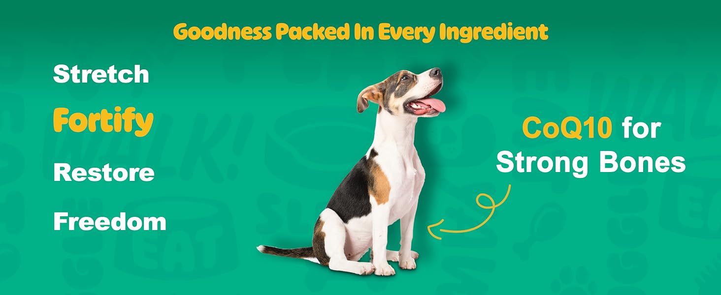 dog joint supplement, hip and joint support, glucosamine for dogs, dog chews, hip mobility