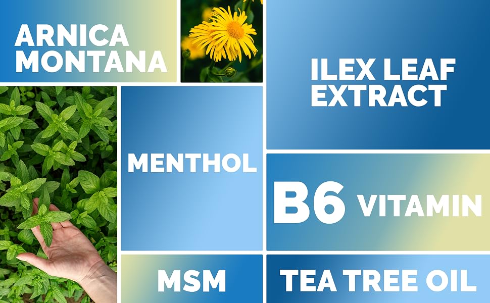 menthol msm arnica montana herbal strong inflammation numbing rheumatoid osteo osteoarthrits tendon