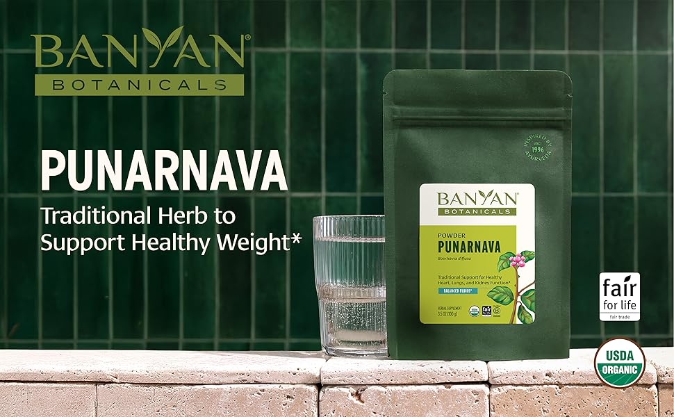 punarnava powder