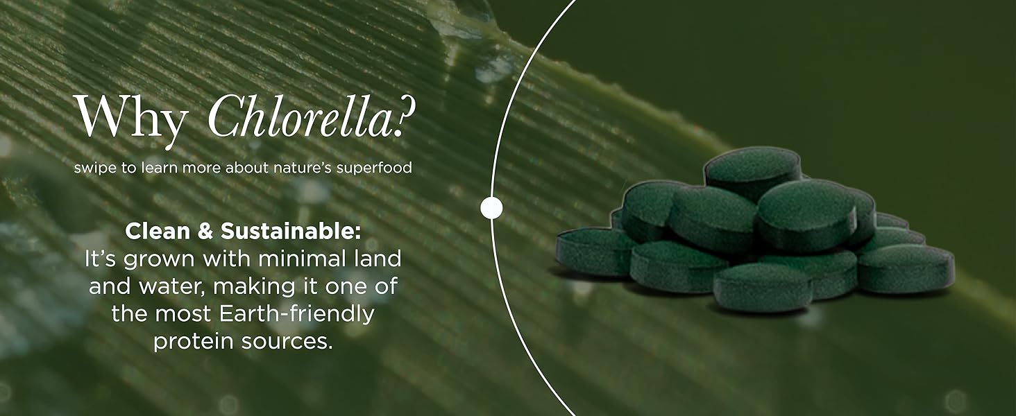 chlorella 3