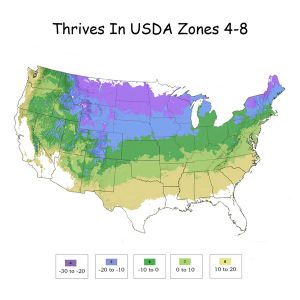 Growing Zones