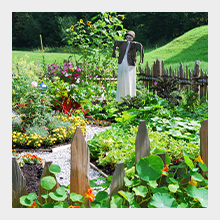 Adding Humate to Gardens