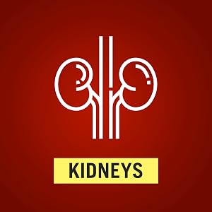 Kidneys