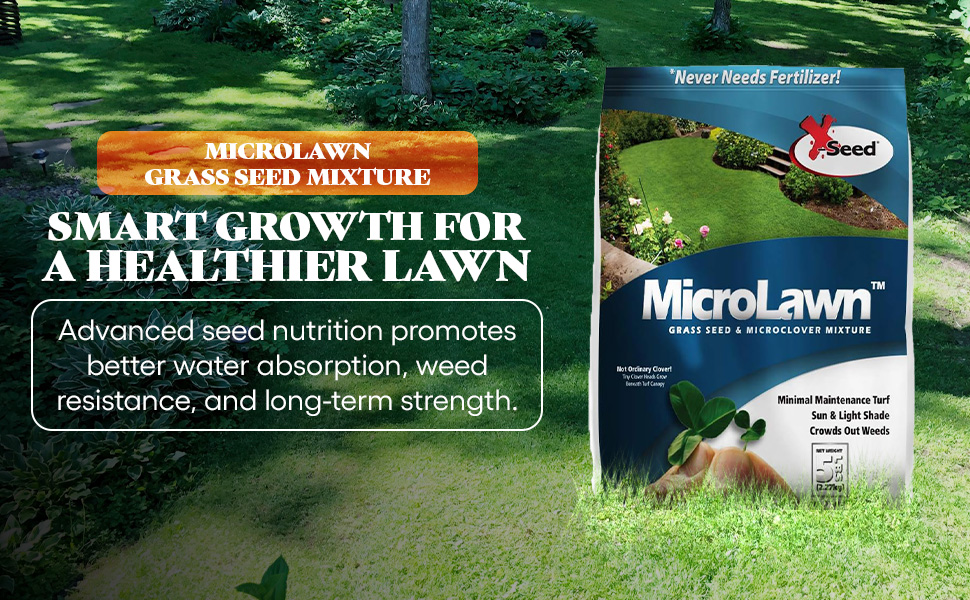 alternative white four low grow planting flawn bulk no mow semillas césped enano evergreen cesped