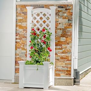 CLASSIC Kensington Planter Box &amp;amp; Trellis VA68221