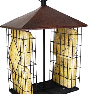 Suet Cake Fly-Through Feeder
