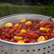 loco turkey fryer pot kit qt crab boiler basket stand cooker quart seafood boiling outdoor fryers