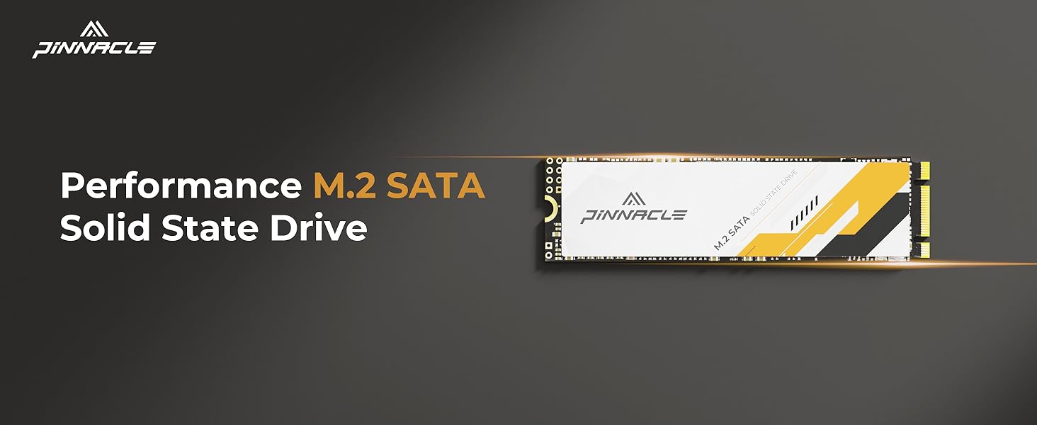 Pinnacle M.2 SATA