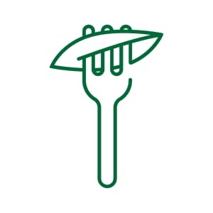 Nutrition Icon