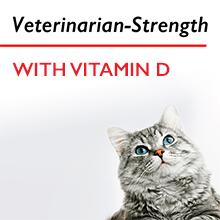 dog ear cleaning solution