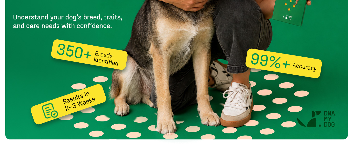 one swab, your dog&amp;#39;s full story, beside a smiling woman hugging a yellow Labrador.