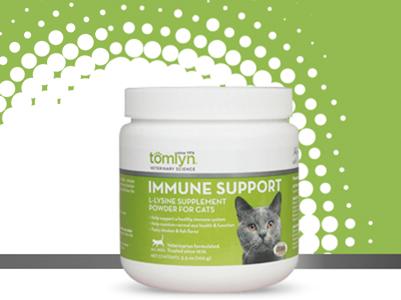 lysine powder