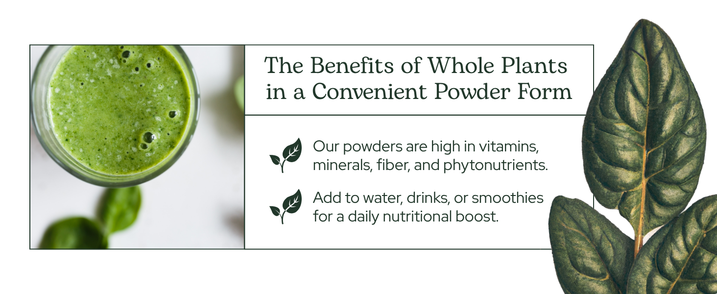 Powder 4