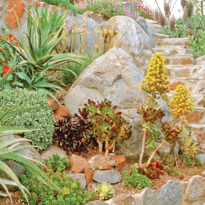 An outdoor stairway follows along installed boulders and southeastern plantings