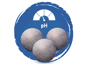 Maintains pH Level