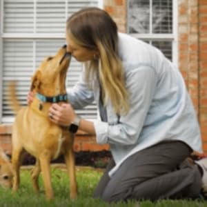 yardsafe good for dogs pet friendly