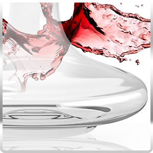 wine decanter set with glasses wine decanter preserver double wine decanter wine decanter crystal