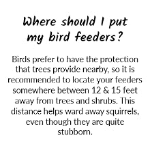 Where should I put my bird feeders FAQ