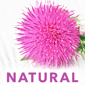 natural milk thistle supplement ingredient detox herb herbs dandelion chicory artichoke gallbladder