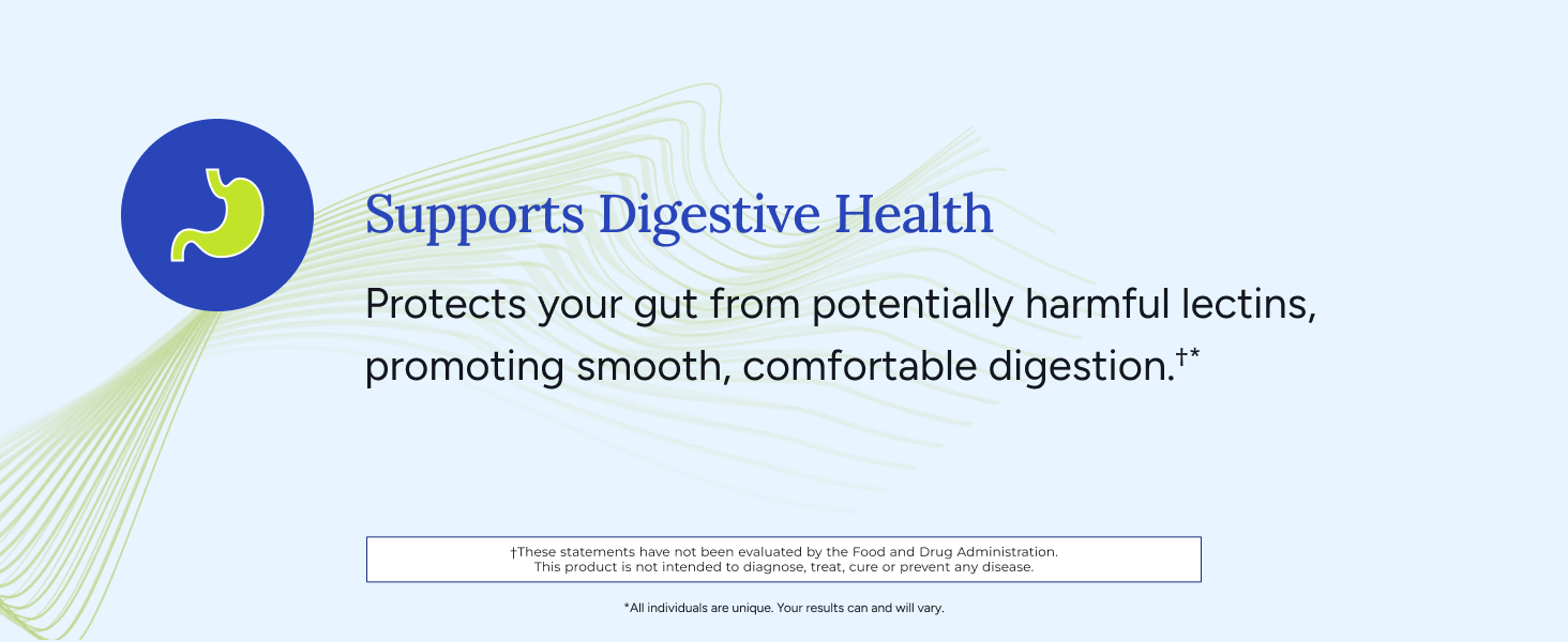 gut health digestion digestive lectin bloating