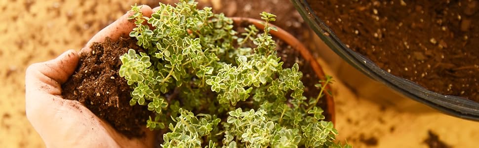 organic potting mix