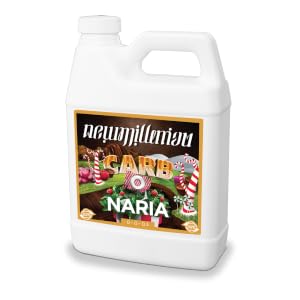 Car-beau-naria