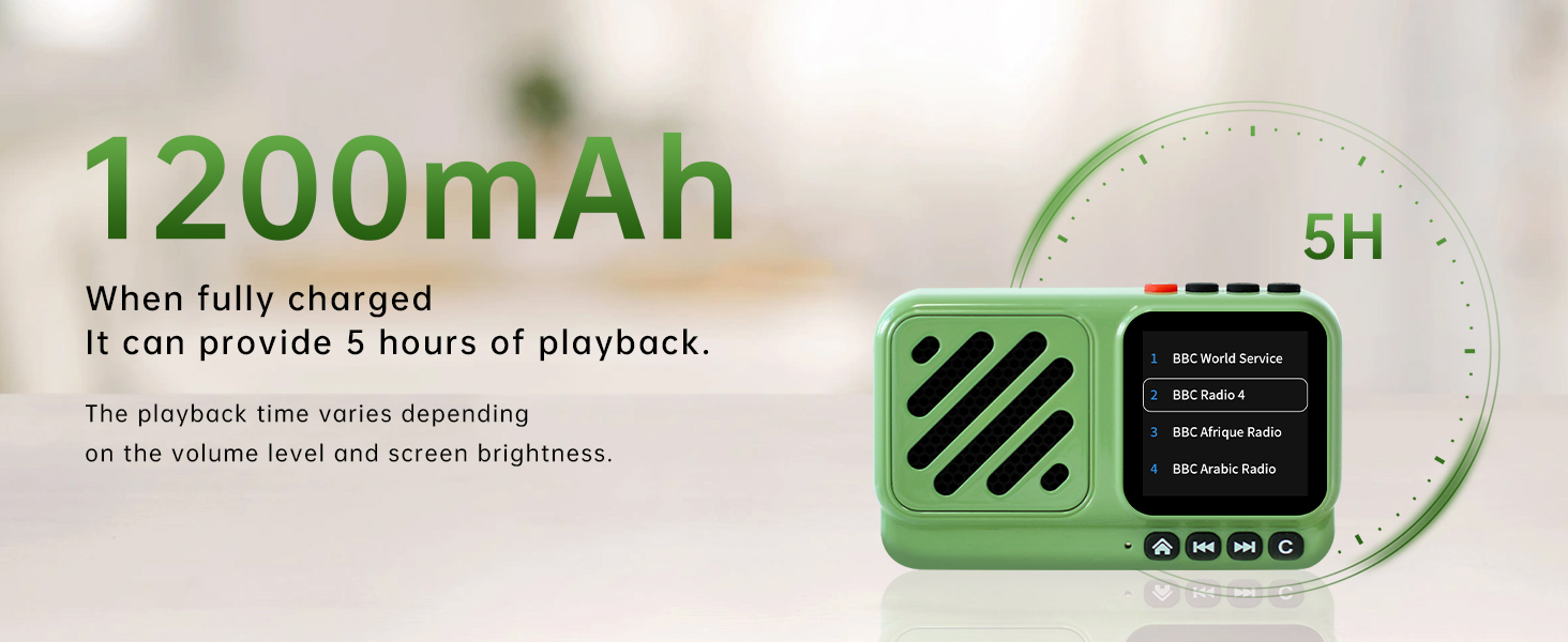outdoor speaker