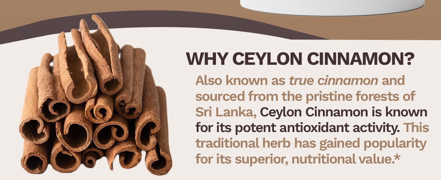 cinnamon supplements cinnamon supplement