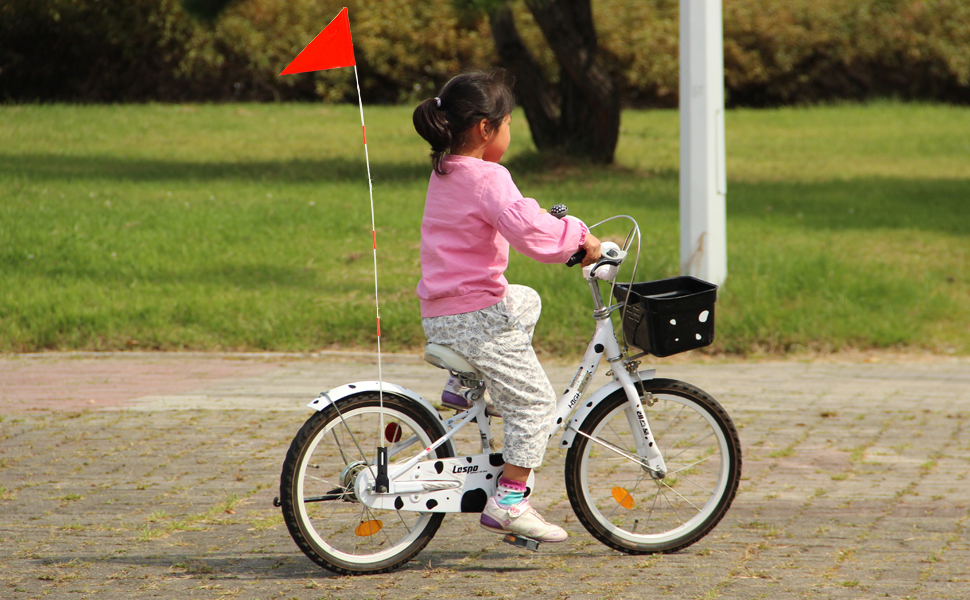 bike safety flag