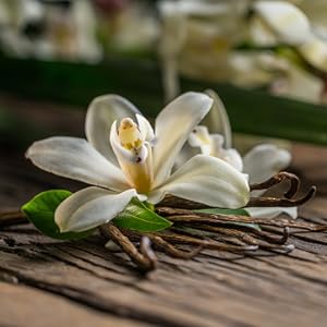 Vanilla