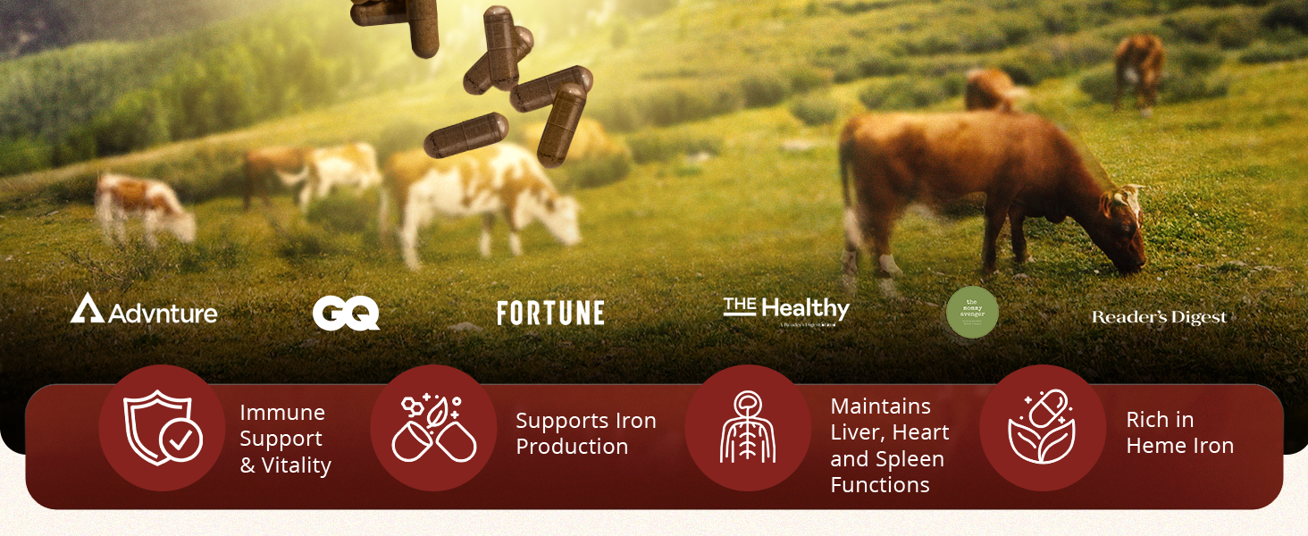 ancestral beef organs supplements for men natural iron supplement mineral superfood capsules
