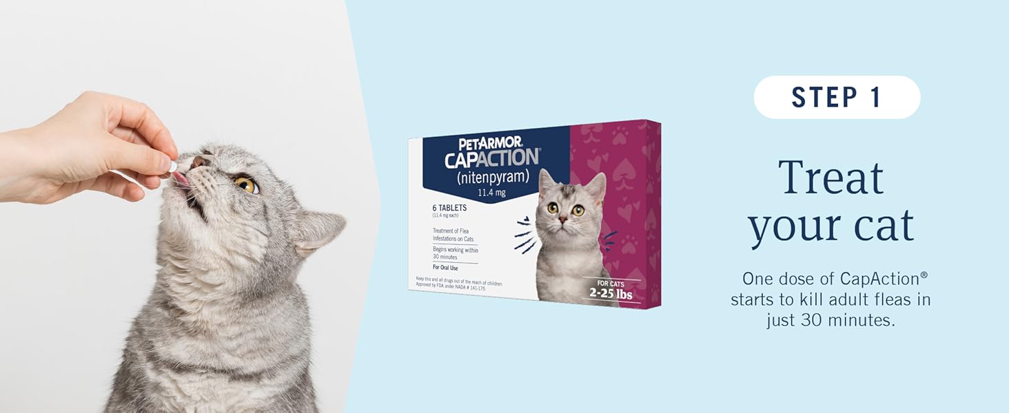 step 1: treat your cat