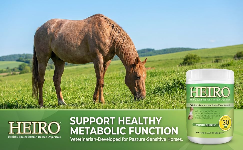 Horse grazing next to HEIRO supplement for metabolic support and equine wellness
