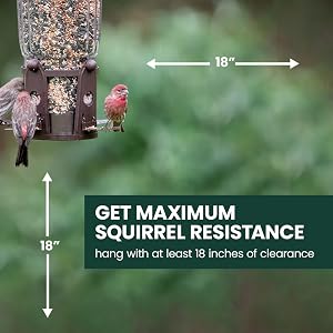 Perky-Pet Squirrel-Be-Gone Bird Feeder with Flexports hang with at least 18 inches of clearance