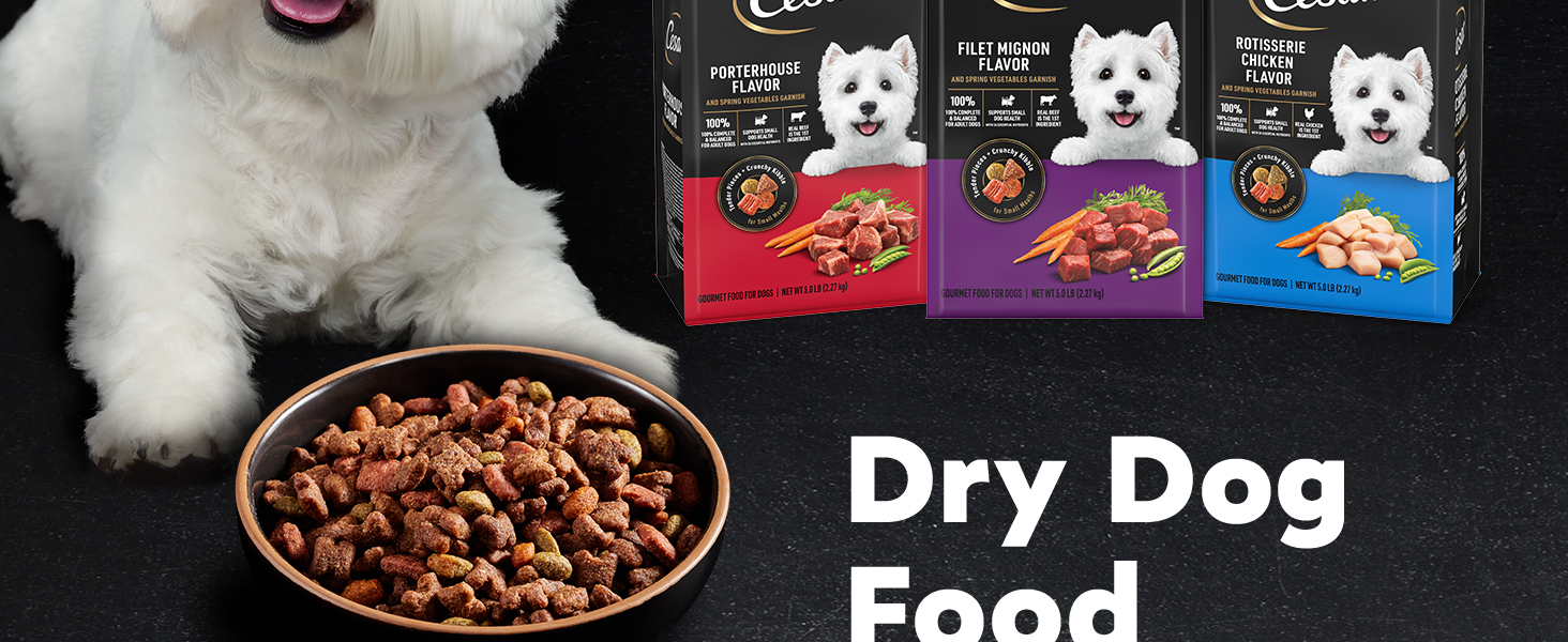 Cesar Dry Dog Food