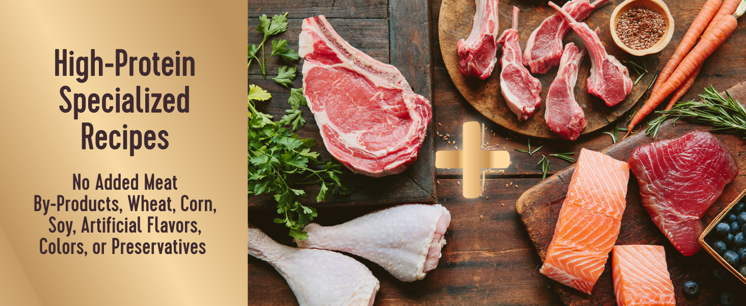 High-Protein Specialized Recipes