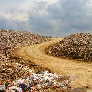 Sustainability