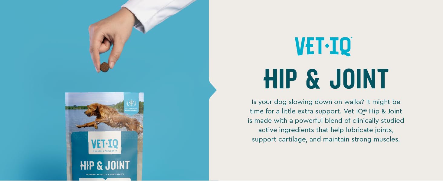 Hip &amp;amp; Joint blend of active ingredients lubricate joints support cartilage maintain strong muscles