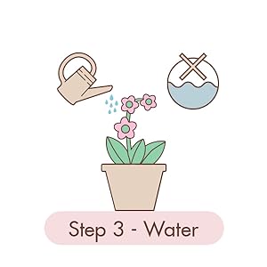 Orchid Plant Food