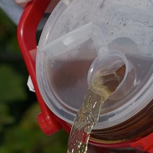 Inner Lid with Pour Spout