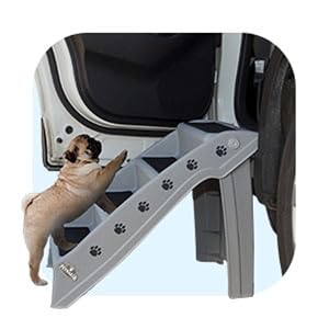 Image of pet stairs for small dogs.