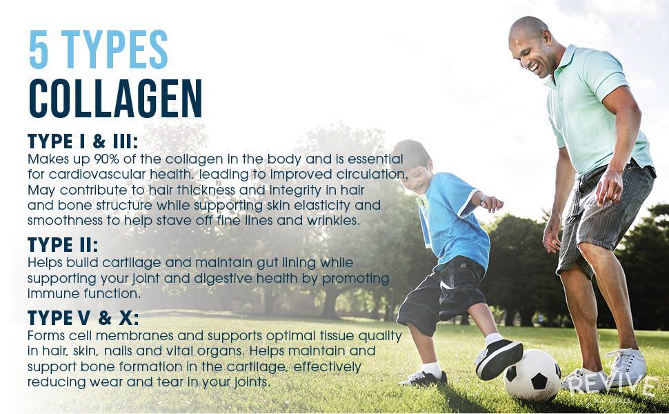 What Is Collagen