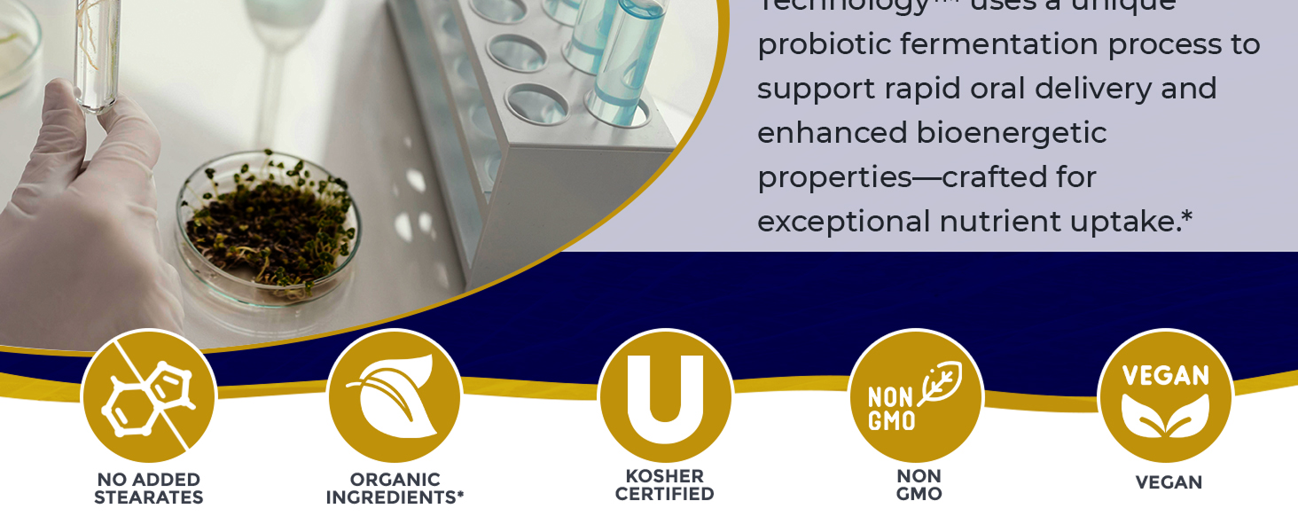 complex drops vitamin B12 B6 liver energy brain immune adrenal men women kids support vitality