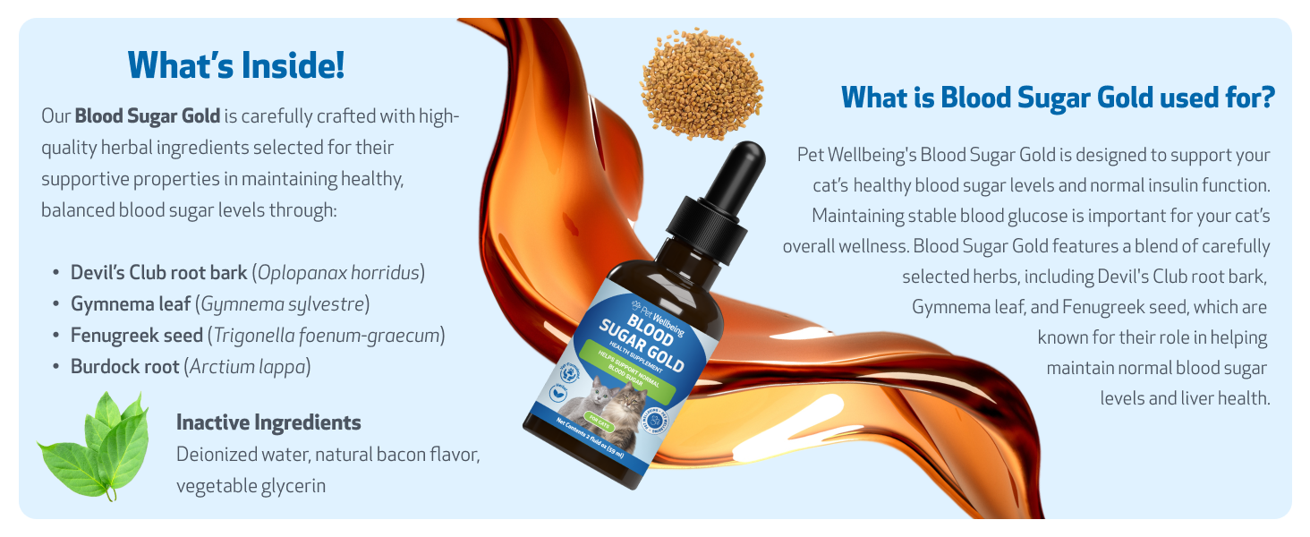 blood sugar balance, diabetes, devils club, gymnema, fenugreek, burdock, stable blood glucose, liver